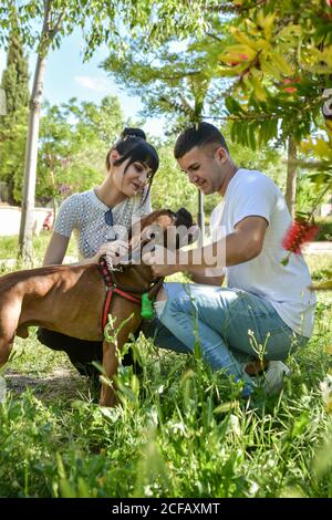 Accoppia con il loro cane Boxer seduto in un parco su una giornata di sole Foto Stock