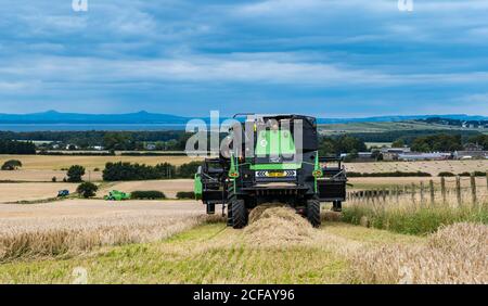 Deustz Fahr Combine Harvesting un campo di grano di orzo in estate con cielo scuro tempestoso, East Lothian, Scozia, Regno Unito Foto Stock