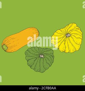 Impostare zucchine gialle e succose mature e patisson giallo e verde iso Illustrazione Vettoriale