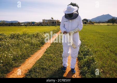 apicoltore irriconoscibile in costume bianco indossando guanti protettivi mentre in piedi su prato erboso verde e preparandosi per lavorare sopra apiario Foto Stock