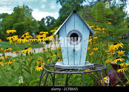 Birdhouse decorativa blu circondata da fiori Susan con occhi neri Foto Stock