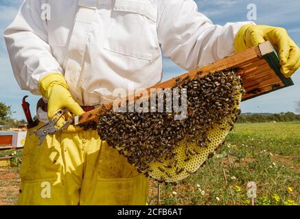 Interno di ampio soggiorno con poltrone in pelle e divano e tavolino da caffè con bouquet di fiori e cassettiera con lampada di fronte pieno Foto Stock