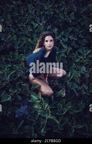 Elegante ragazza capelli ricci turista in camicia verde scuro e. body-suit guardando la fotocamera mentre si accovacciano sulla foresta con fico albero sullo sfondo Foto Stock