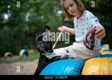 ragazza giocare con carino piccolo frenchie bulldog cucciolo nel parco in estate Foto Stock