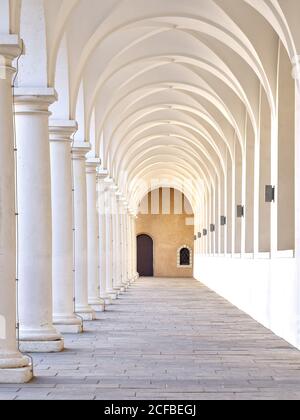 Dresdner Stallhof, Stallhof, Augustusstraße, Dresda (Drježdźany, Drežďany), capitale di Stato Dresda, Stato libero di Sassonia, Germania, Valle dell'Elba, Foto Stock