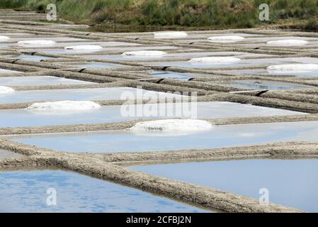 Giardino del sale, museo, Guerande Francia, Francia Foto Stock