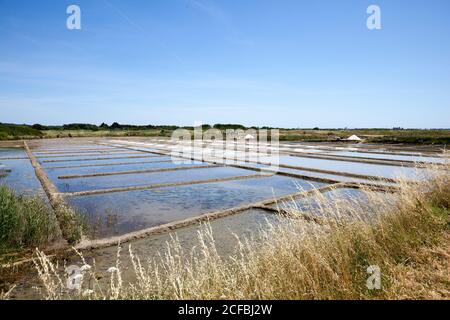 Giardino del sale, museo, Guerande Francia, Francia Foto Stock