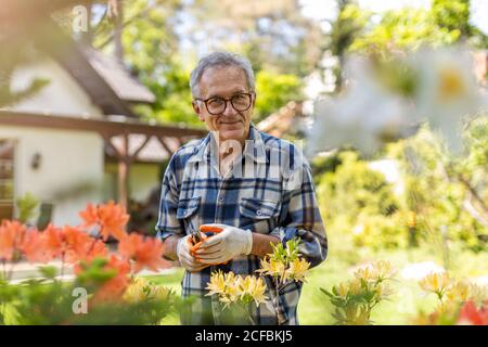 Uomo maturo che lavora nel giardino Foto Stock