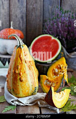 Verdure autunnali. Raccolta di zucche. Composizione per la celebrazione di Halloween. Foto Stock