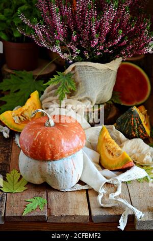 Verdure autunnali. Raccolta di zucche. Composizione per la celebrazione di Halloween. Foto Stock