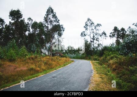 strada che attraversa il paesaggio di foresta e montagne contro il cielo blu Foto Stock