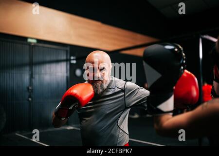 Vista posteriore dell'atleta sportivo giovane e irriconoscibile in guanti da boxe allenati combattendo con allenatore maschile professionista in palestra moderna Foto Stock