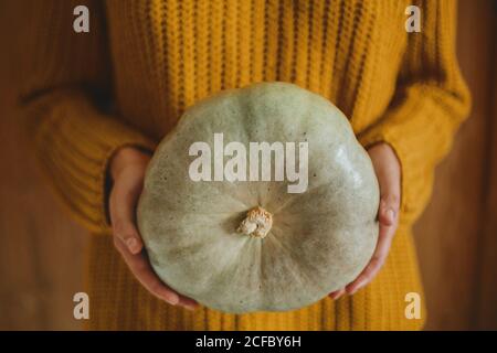 Donna in maglia gialle con pumpkin verde su rustico sfondo di legno. Ciao Autunno e felice Ringraziamento, festeggiando vacanze autunnali a. Foto Stock