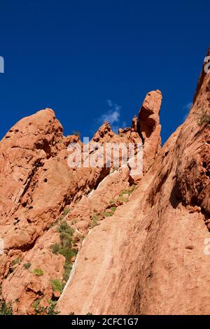 Garden of the Gods in Colorado Springs USA formazione rocciosa pietre di montagna Foto Stock