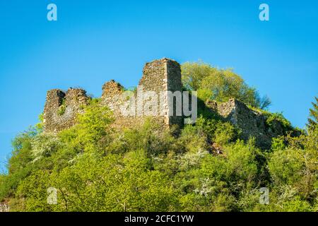 Rovina di Rosenburg ad Argenschwang, nel Soonwald (Hunsrück), nel Gräfenbachtal, Foto Stock