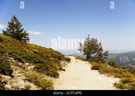 Percorso roccioso in foresta in giornata di sole Foto Stock
