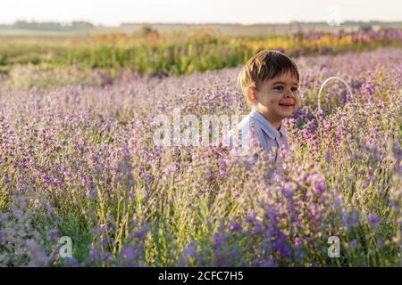 Infanzia, stile provenzale concetto - felice 2 anni ragazzo dai capelli scuri di aspetto mediorientale sorride e spazia fuori da dietro cespugli di Foto Stock