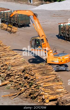 Trasporto di tronchi dell'industria del legno e della carta con sollevatore e camion. Foto Stock