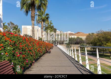 Pont de les Flors ponti che attraversa il Jardin del Turia di Valencia città, sempre ornati di fiori. Foto Stock