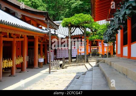 Nara Giappone - Shinto santuario Kasuga-taisha area Foto Stock