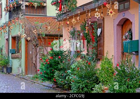 Decorazione di Natale a Kaysersberg, Alto Reno, Route des Vins d'Alsace, Alsazia strada del vino, Grand Est, Alsazia-Champagne-Ardenne-Lorena Francia Foto Stock