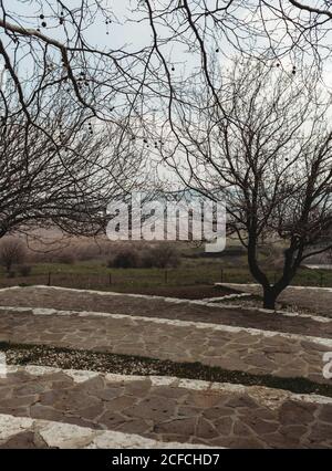 Alberi neri sottili con rami senza foglie che crescono vicino pavimentazione dentro parcheggia in un tranquillo giorno d'autunno Foto Stock