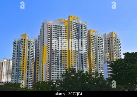 Blocchi di appartamenti per schede di sviluppo con contenitore giallo e bianco ad alta densità a Singapore. Foto Stock