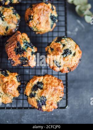 Muffin al mirtillo vegano fatti in casa su una griglia di raffreddamento su sfondo scuro. Verticale. Vista dall'alto o piatta. Foto Stock