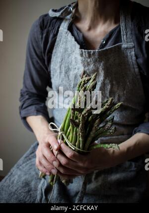 Crop Donna in abito grigio testurizzato che tiene teneramente mucchio di steli di asparagi freschi verdi Foto Stock
