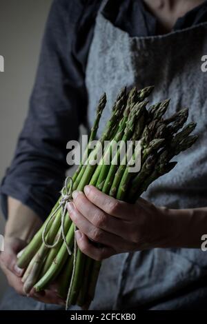 Crop Donna in abito grigio testurizzato che tiene teneramente mucchio di steli di asparagi freschi verdi Foto Stock