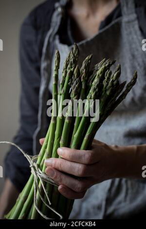 Crop Donna in abito grigio testurizzato che tiene teneramente mucchio di steli di asparagi freschi verdi Foto Stock
