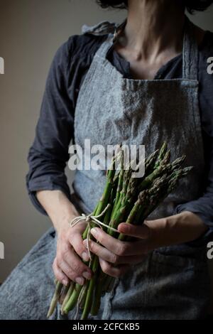 Crop Donna in abito grigio testurizzato che tiene teneramente mucchio di steli di asparagi freschi verdi Foto Stock