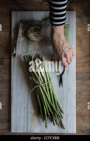 Vista dall'alto delle mani che tengono le forbici in tavola di marmo con mucchio di asparagi legato con corda a spago su legno tabella Foto Stock