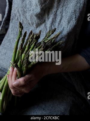 Crop Donna in abito grigio testurizzato che tiene teneramente mucchio di steli di asparagi freschi verdi Foto Stock