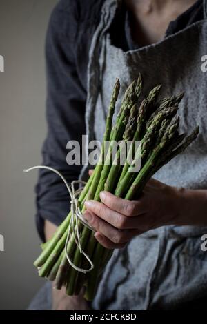 Crop Donna in abito grigio testurizzato che tiene teneramente mucchio di steli di asparagi freschi verdi Foto Stock