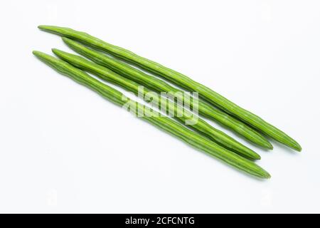 Moringa oleifera isolato su sfondo bianco. Foto Stock