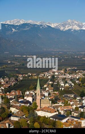 Italia, Trentino-Alto Adige, Alto Adige, Alto Adige, Terlano, Foto Stock