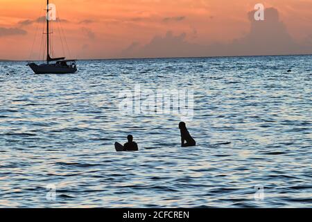 Due surfisti dalle silhouette che si siedono sulla tavola da surf in attesa di un'onda al tramonto. Foto Stock