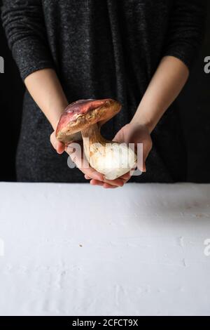 Grande fungo con cappello carnoso e grande tronco in mani Foto Stock