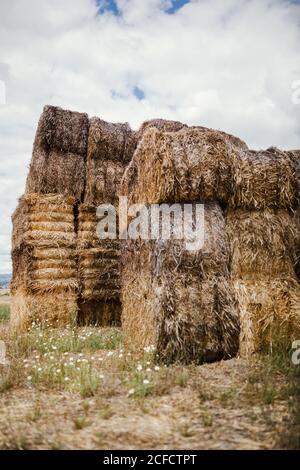 Paesaggio rurale con rotoli di fieno asciutto accatastati in campo contro cielo nuvoloso in estate in campagna Foto Stock