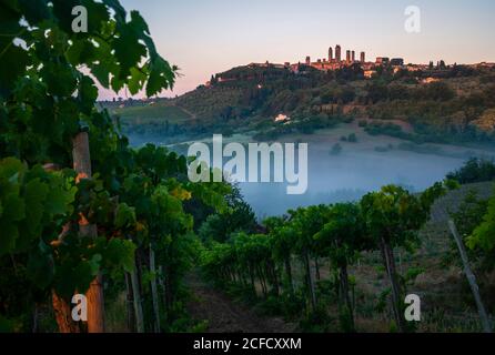 Europa, Italia, Toscana, Provincia di Siena, San Gimignano, Foto Stock