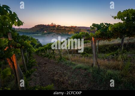 Europa, Italia, Toscana, Provincia di Siena, San Gimignano, Foto Stock