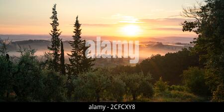 Europa, Italia, Toscana, Provincia di Siena, San Gimignano, Foto Stock