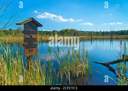 Germania, Baden-Württemberg, Villingen Schwenningen, Neckar, nella riserva naturale Schwenninger Moos Foto Stock