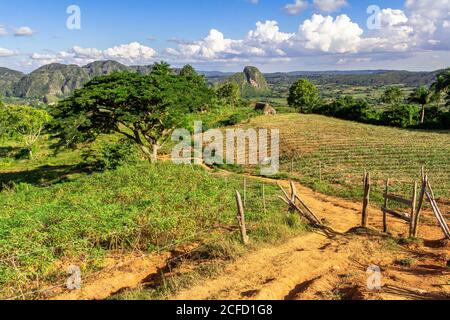 Vista dal punto di vista di Los Aquaticos sulla valle dei Vinales (Valle de Vinales), provincia di Pinar del Rio, Cuba Foto Stock