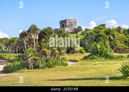 Rovine nei terreni dei siti Maya di Tulum, Quintana Roo, Penisola di Yucatan, Messico Foto Stock