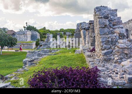 Rovine nei terreni dei siti Maya di Tulum, Quintana Roo, Penisola di Yucatan, Messico Foto Stock