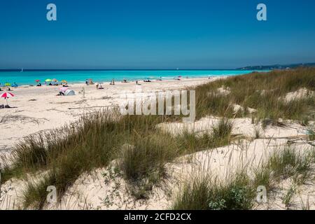 Europa, Italia, vada, Spiaggia di vada, Toscana, Rosignano Marittimo, Livorno, Foto Stock