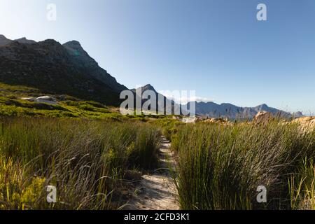 Sentiero per passeggiate attraverso l'erba Foto Stock