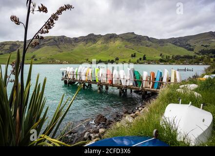 Schierati a Bottsteg, Diamond Habour Foto Stock